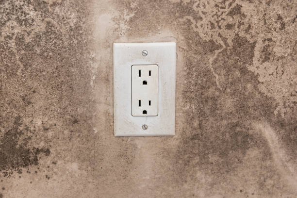 Best Mold Odor Removal Services  in North Browning, MT